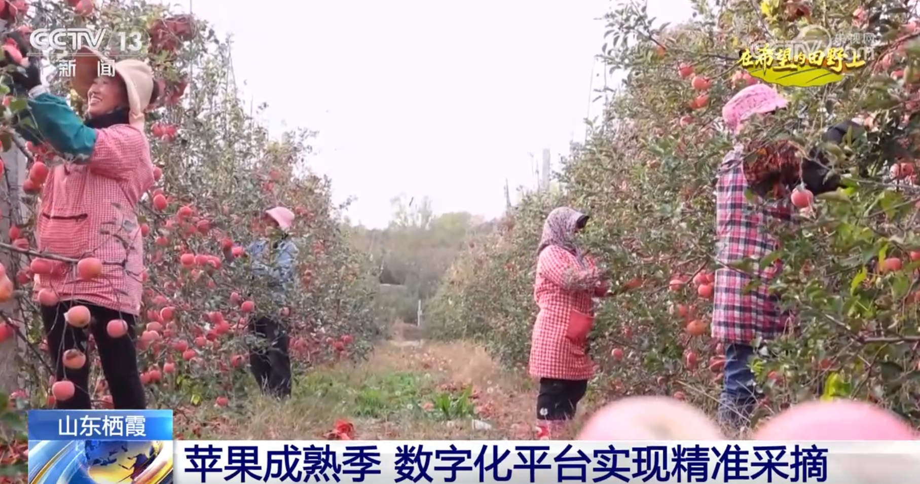 ”景画卷 农业高“智”量发展行稳致远m6米乐注册希望的田野上铺展多彩“丰