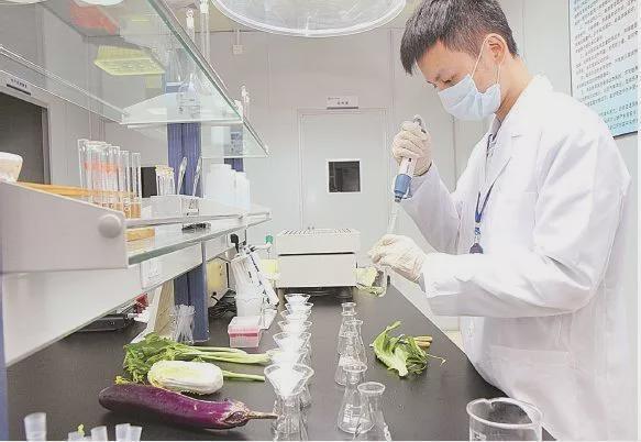 鲜智慧市集怎么样m6米乐上海爱芯(图15)